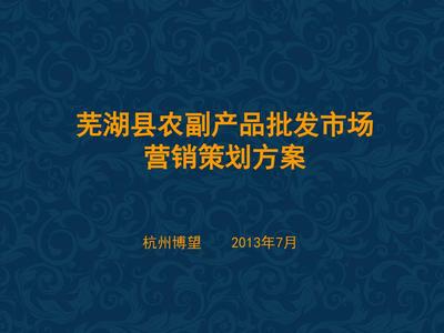 07芜湖农副产品批发市场整合营销策划案